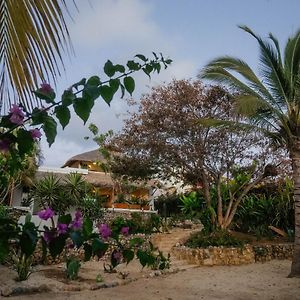 Casa La Bomba Villa Puerto Escondido  Exterior photo