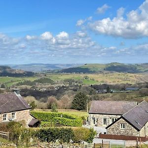 Rhiwddu Barns Villa Llangadog Exterior photo