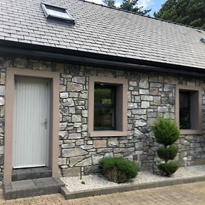 Siog Villa Oughterard Exterior photo