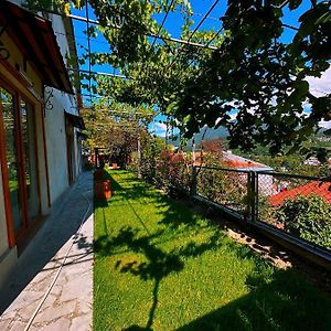 Guest House Lalo Borjomi Exterior photo