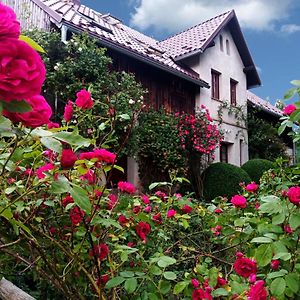 Dom Geologa Villa Marianowka Exterior photo