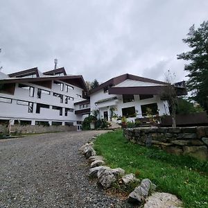 Randunica Hotel Valiug Exterior photo