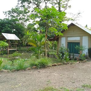 Cabinas Jugle Jause Apartment Drake Bay Exterior photo