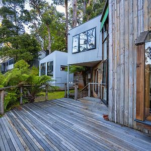 Dandenong Ranges Modernist Bush Escape Villa Kalorama Exterior photo