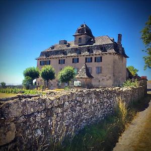 Chateau De Cours Bed & Breakfast Senezergues Exterior photo