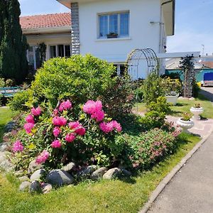 Chambre D'Hotes Les Hortensias Bed & Breakfast Gelos Exterior photo