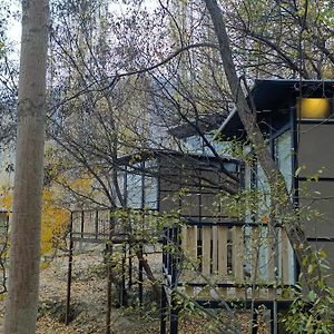 Kalp With Forest View- Cloud Nine And A Half Hunza Karimabad  Exterior photo