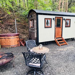 Cozy Cabin With Hot Tub In Heart Of Snowdonia Villa Dolgellau Exterior photo