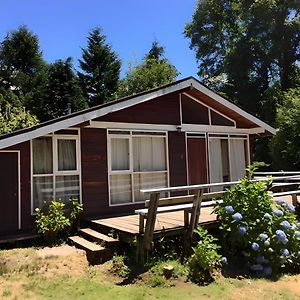 Cabanas Loncotraro Pucon Exterior photo