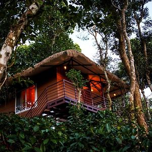 Coffee Cradle Wayanad Luxuorios Private Tree House - Inside 2 Acre Coffee Plantation Hotel Mananthavady Exterior photo