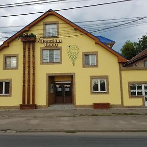 Hanul Lui Ionut Hotel Satu Mare Exterior photo