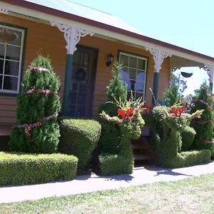 "Grand Ole Topiary" Cottage Accommodation Railton Exterior photo