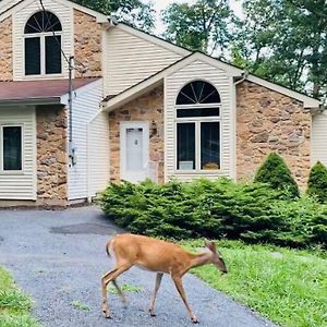 Serenity Falls - Stylish 4Bdr Mountain Retreat, Hot Tub, Pool East Stroudsburg Exterior photo