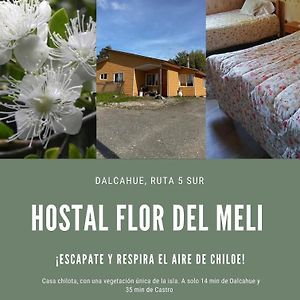 Hostal Flor Del Meli Bed & Breakfast Dalcahue Exterior photo