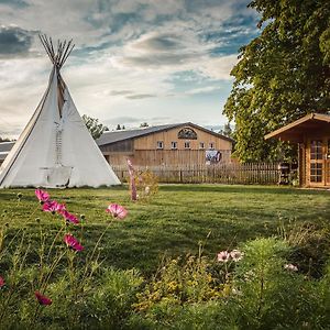 Ranchhouse Bubble - Westernstable - Horse Villa Elterlein Exterior photo