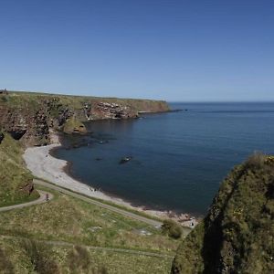 Clifftop Cottage Arbroath Exterior photo