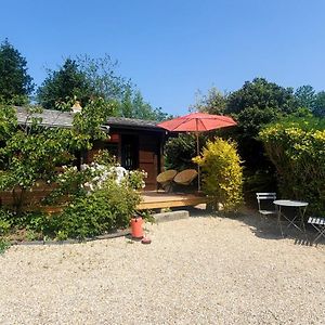 Chalet En Pleine Nature Au Bord D'Un Etang Villa Lanvallay Exterior photo