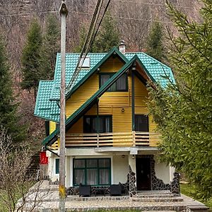 Cheile Valsanului Apartment Bradulet Exterior photo