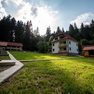 Forest Resort BaileTusnad Exterior photo