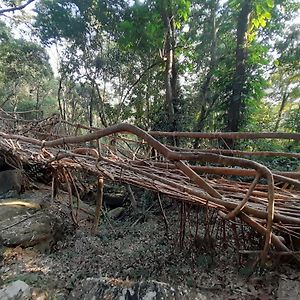 Living Roots Lodge Cherrapunji Exterior photo