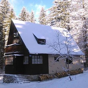 Enchanted Forest Chalet Villa Tatranska Strba Exterior photo