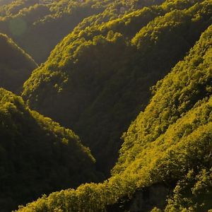 Wild Valley Ticino Vista In Valle Onsernone Apartment Auressio Exterior photo