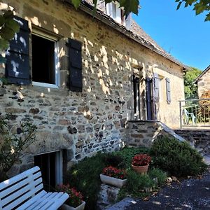 Gite De France A Albussac 3 Epis - Gite De France 7 Personnes 944 Apartment Exterior photo