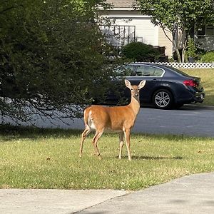 Wayne'S Place-Hot Tub, Pet Friendly. Close To Hpu Villa High Point Exterior photo