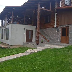 Sadiba U Pasichnika Guest House Pilipets Exterior photo