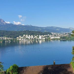 Queen Home Lucerne Exterior photo