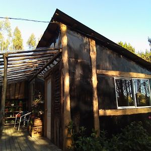 Cabana En El Bosque De Chiloe Villa Quemchi Exterior photo