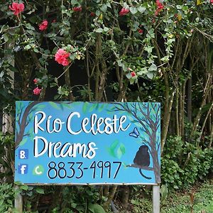 Xxx Blue Paradise - Rio Celeste Dreams Apartment Bijagua Exterior photo