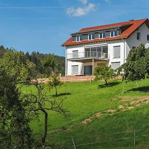 Gruenewaldhof In Rimbach Im Odenwald Apartment Exterior photo