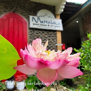 Mettaloka Guesthouse Magelang Exterior photo