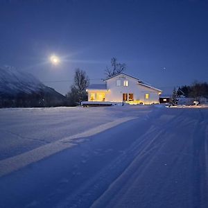 Mountainside Lodge - Breivikeidet Tromso Exterior photo