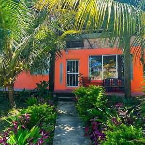 Otorongo Guest House Iquitos Exterior photo