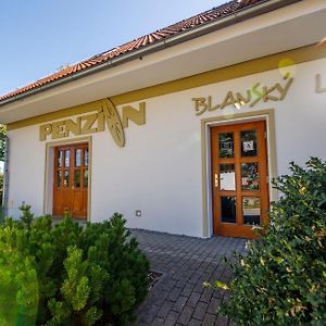 Penzion Blansky Les Hotel Dubne Exterior photo