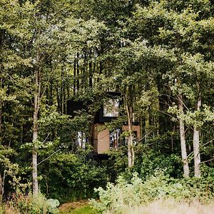 Dziki Las - Domki Na Drzewach Milomlyn Exterior photo