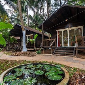 The Exotica Agonda Hotel Exterior photo