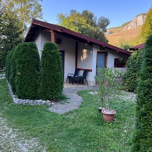 Studiouri Valisoara Apartment Exterior photo