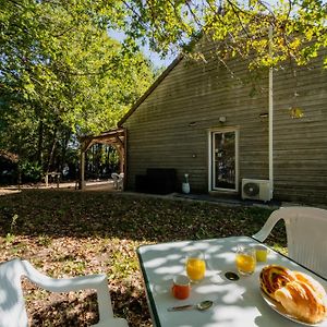 Gite du Héron: Peaceful 3-Star Forest Retreat with Wi-Fi Villa Brinon-sur-Sauldre Exterior photo