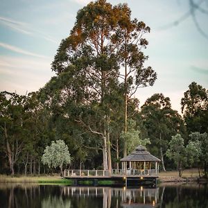 Forest Rise Chalets And Lodge Metricup Exterior photo