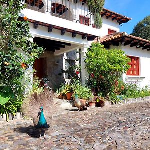 Hotel Y Jardines Casa Buho Antigua Exterior photo