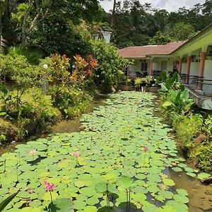 Seri Pengantin Resort Kampung Janda Baik Exterior photo