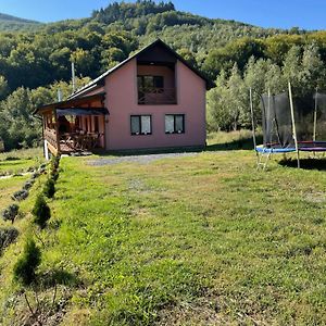 Соколів Камінь Villa Novoselitsa  Exterior photo