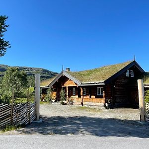 Solsetra - Mountain Majesty Family Log Cabin Villa Hovden  Exterior photo