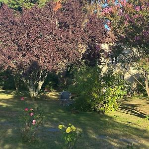 Le Clos Le Boscq - Gite De Charme - Calme Et Detente Villa Saint-Christoly-Medoc Exterior photo