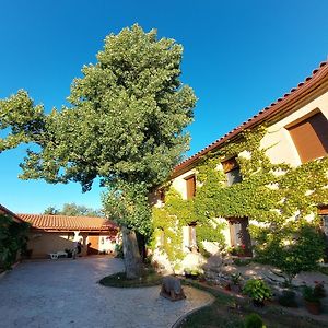 Casa Atenea Guest House Zamora Exterior photo