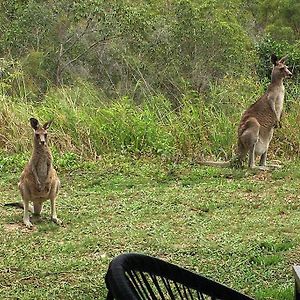 Kangaroo Kabin - Entire Cabin, 5Mins To The Beach Apartment Agnes Water Exterior photo