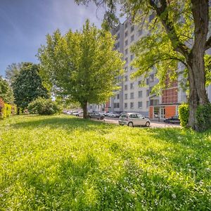 Le Taillefer 3 - Le Frenchi Apartment Rhut Exterior photo